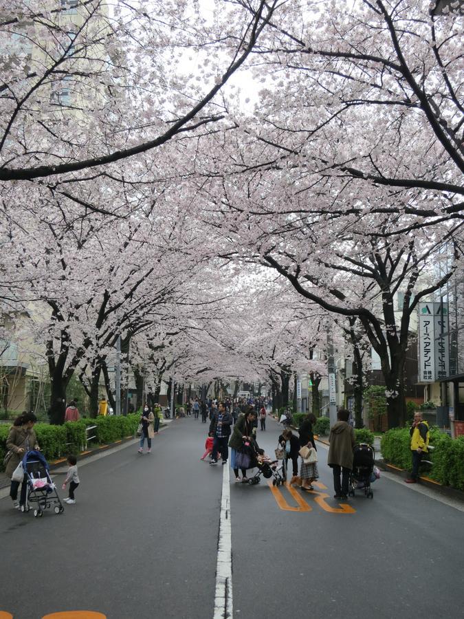 No Borders Hostel Tokyo Bagian luar foto